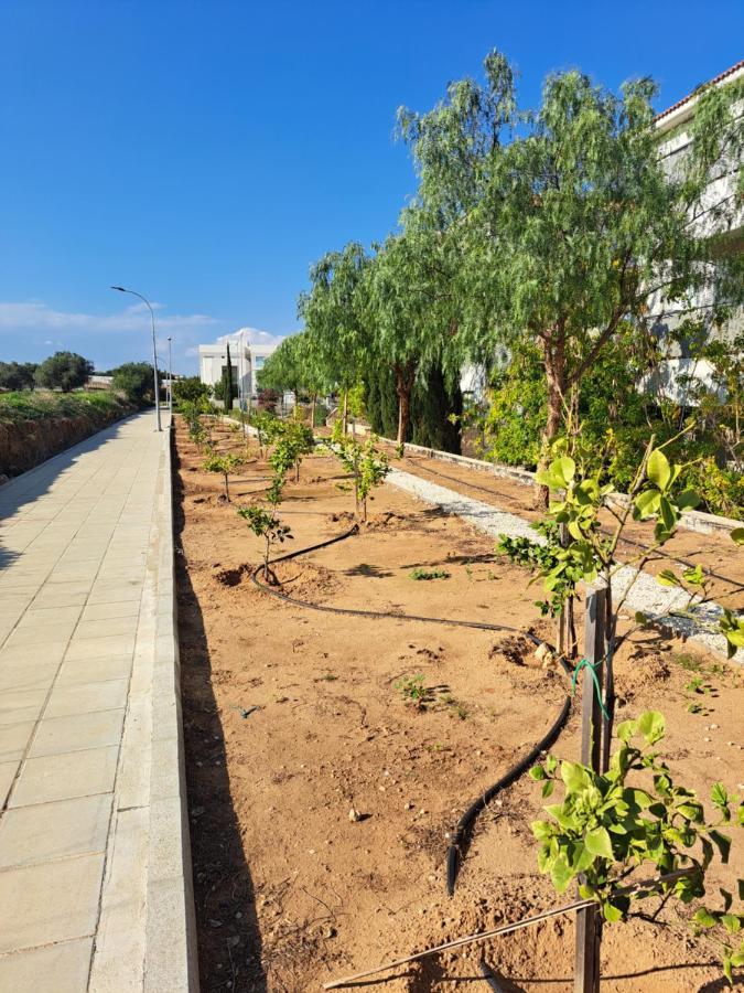 Carme At The Beach - Mythical Sands Paralimni Exterior photo